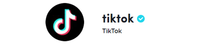 TikTokフォロワーランキング8位_TikTok