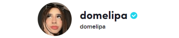 TikTokフォロワーランキング10位_Domelipa